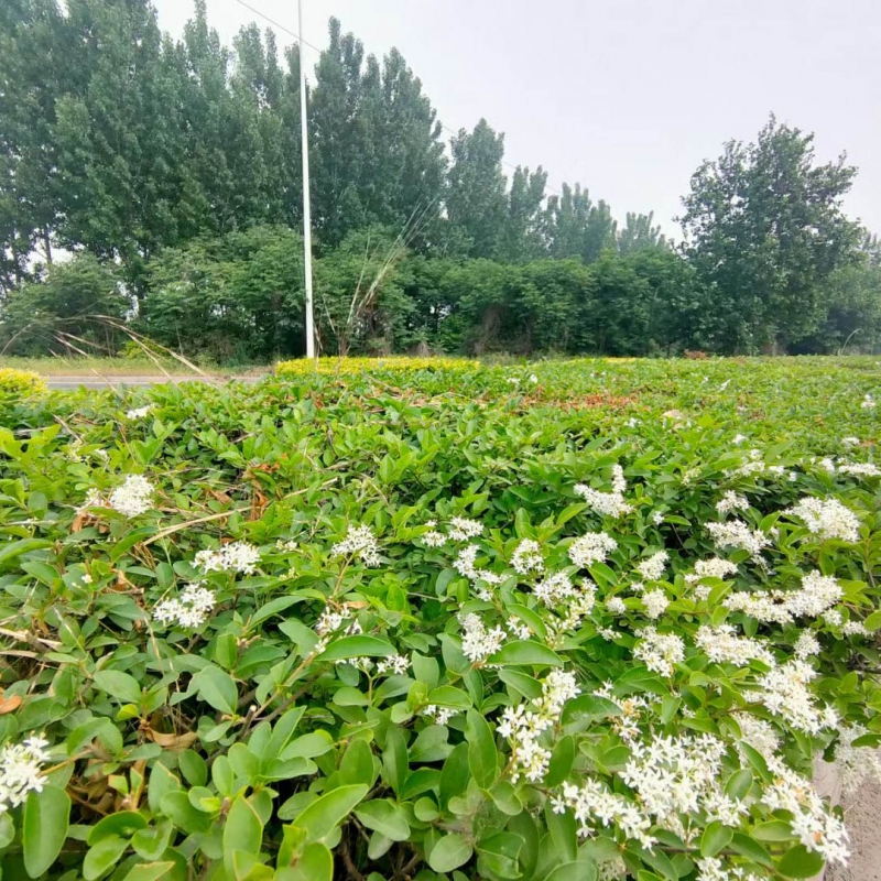 廠區一角